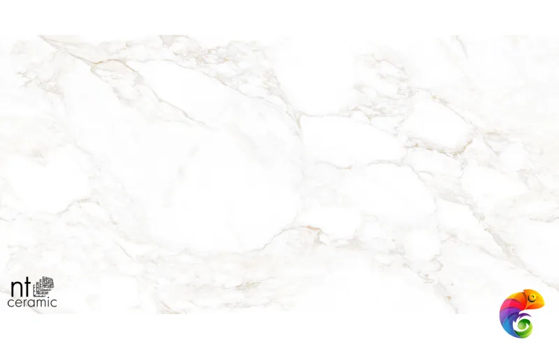 Керамогранит NTT99526M Marble Extra Endless 60x120