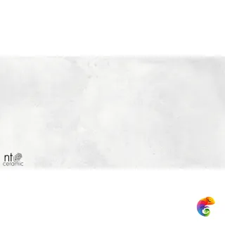 Cemento Bianco 60x120 NTT99604M