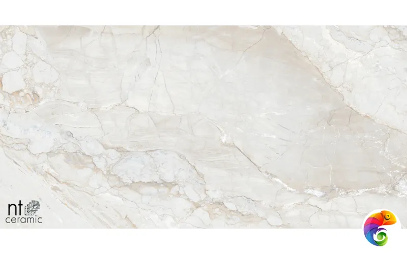 Керамогранит NTT99514M Gravel White Mat 60x120