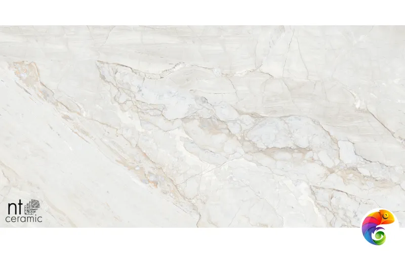 Керамогранит NTT99514M Gravel White Mat 60x120