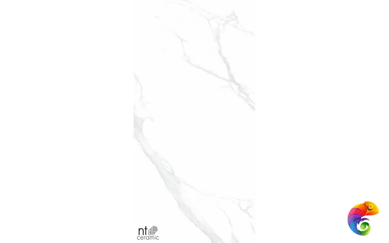 Керамогранит NTT9106P NTT9106 Statuario 60x120