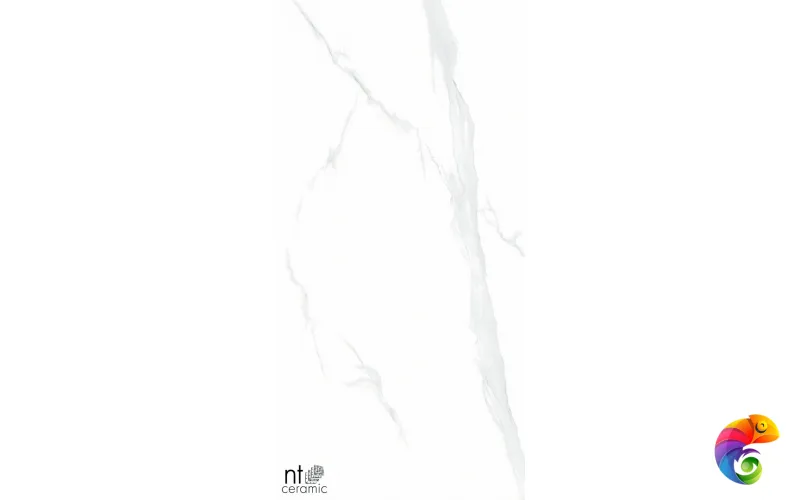 Керамогранит NTT9106P NTT9106 Statuario 60x120