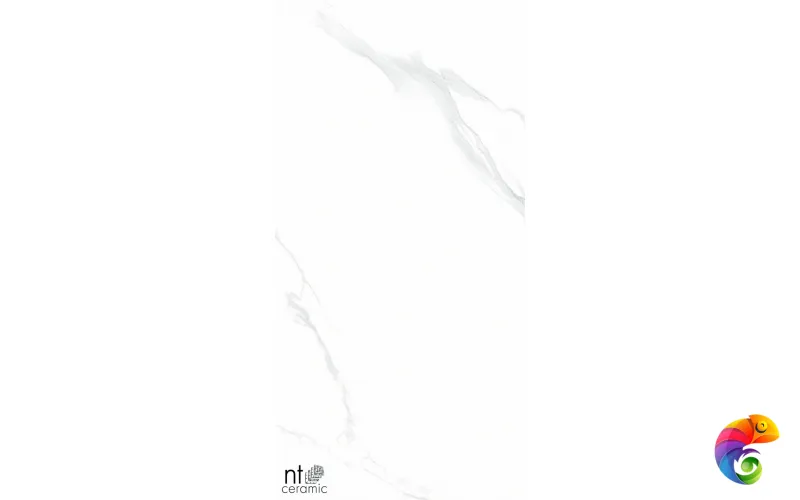 Керамогранит NTT9106P NTT9106 Statuario 60x120