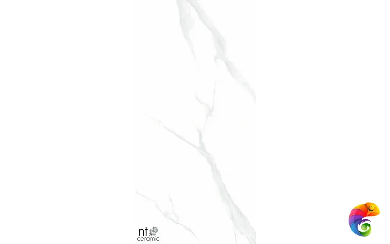Керамогранит NTT9106P NTT9106 Statuario 60x120