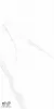 NTT9106 Statuario 60x120 NTT9106P