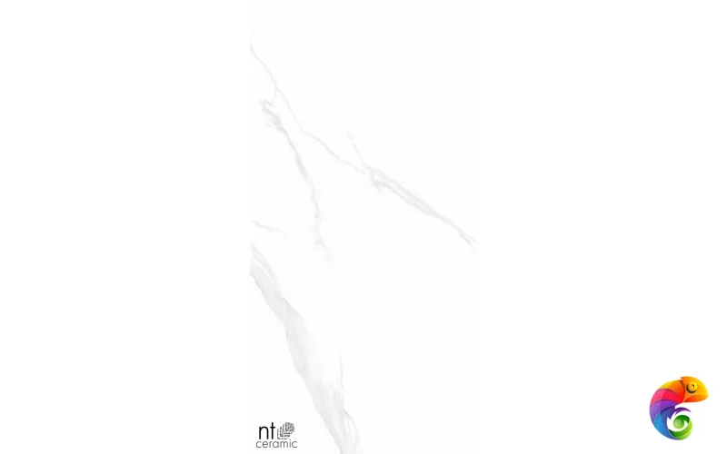 Керамогранит NTT9106P NTT9106 Statuario 60x120