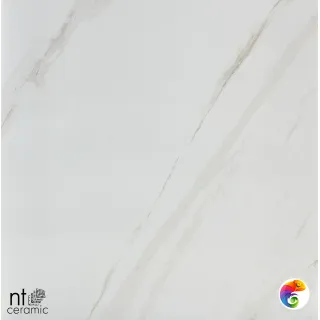 NTT9401 60x60 BK6NTT9401P