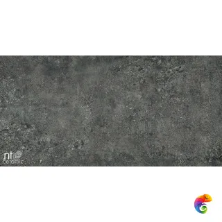 NTT9502 60x120 TZ612NTT9502L
