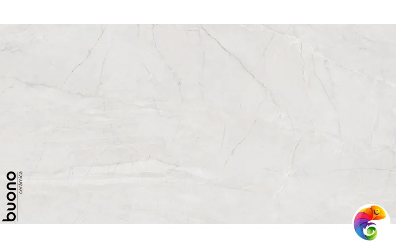 Керамогранит для пола и стен S4433C Pietra Bianco Carving 120x60