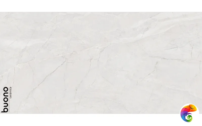 Керамогранит для пола и стен S4433C Pietra Bianco Carving 120x60