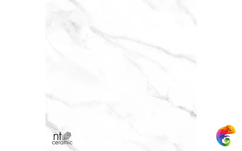 Керамогранит NTT99506P Statuario Endless 60x120