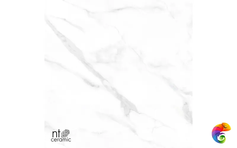 Керамогранит NTT99506P Statuario Endless 60x120