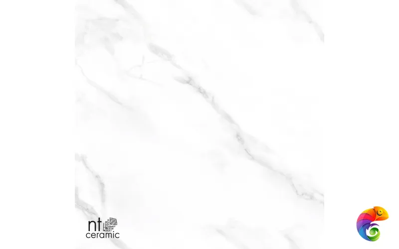 Керамогранит NTT99506P Statuario Endless 60x120