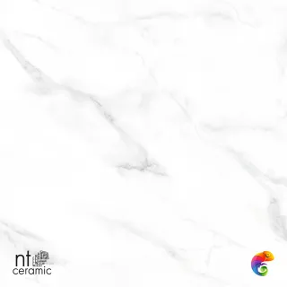 Statuario Endless 60x120 NTT99506P