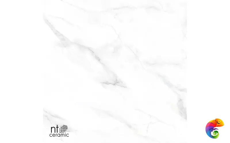 Керамогранит NTT99506P Statuario Endless 60x120