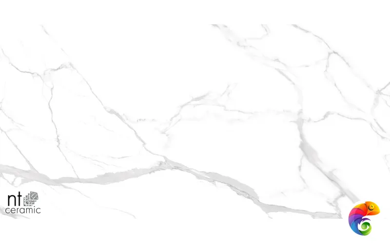 Керамогранит NTT99512M Statuario Ultra White 60x120