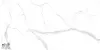 Statuario Ultra White 60x120 NTT99512M