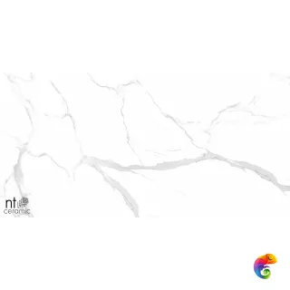 Statuario Ultra White 60x120 NTT99512M