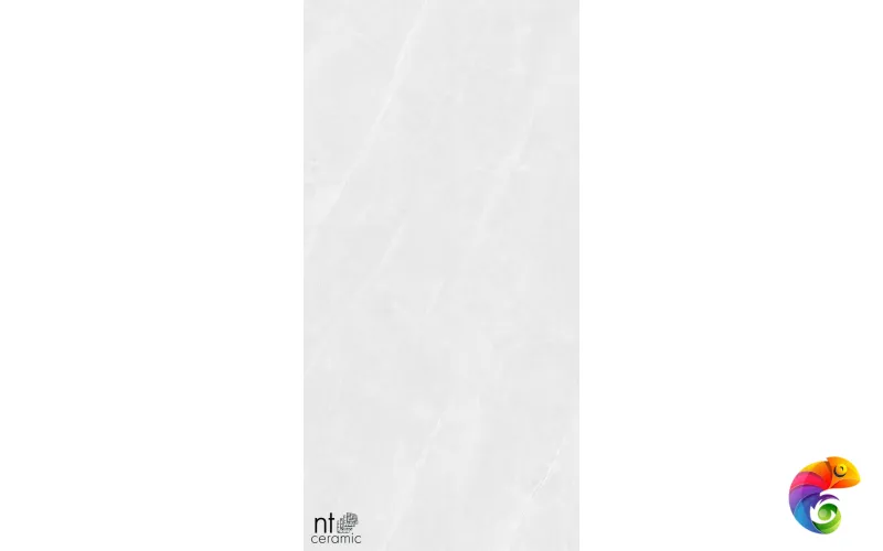 Керамогранит NTT99618M Granite Limestone White Structura 60x120