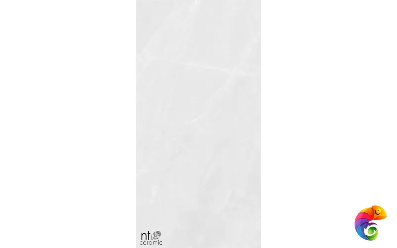 Керамогранит NTT99618M Granite Limestone White Structura 60x120