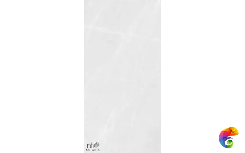 Керамогранит NTT99618M Granite Limestone White Structura 60x120
