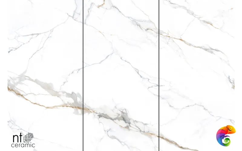 Керамогранит NTT3000M Carrara Gold mat 120x240