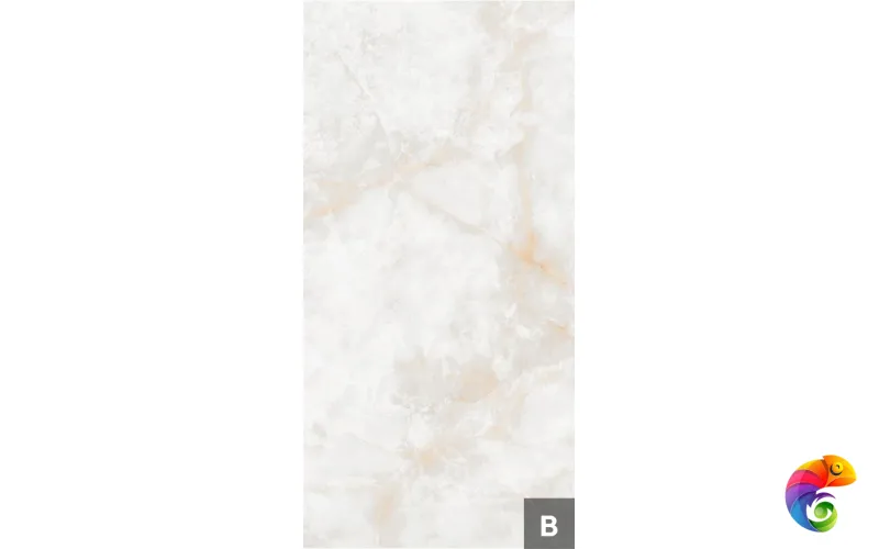 Керамогранит NTT3019P Li Susu Dragon 120x240