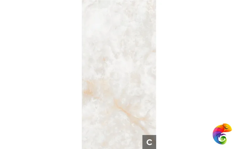 Керамогранит NTT3019P Li Susu Dragon 120x240