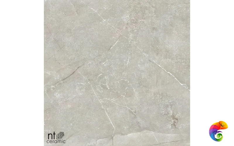 Керамогранит NS6NTT9022L NTT9022 60x60