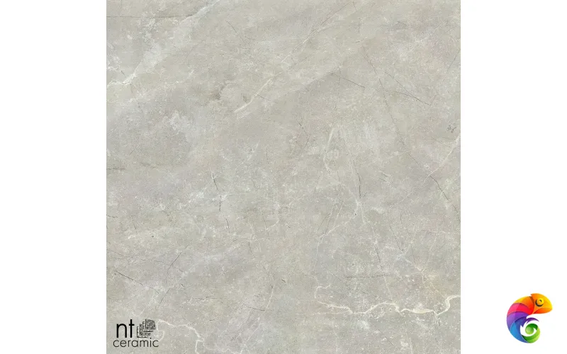 Керамогранит NS6NTT9022L NTT9022 60x60