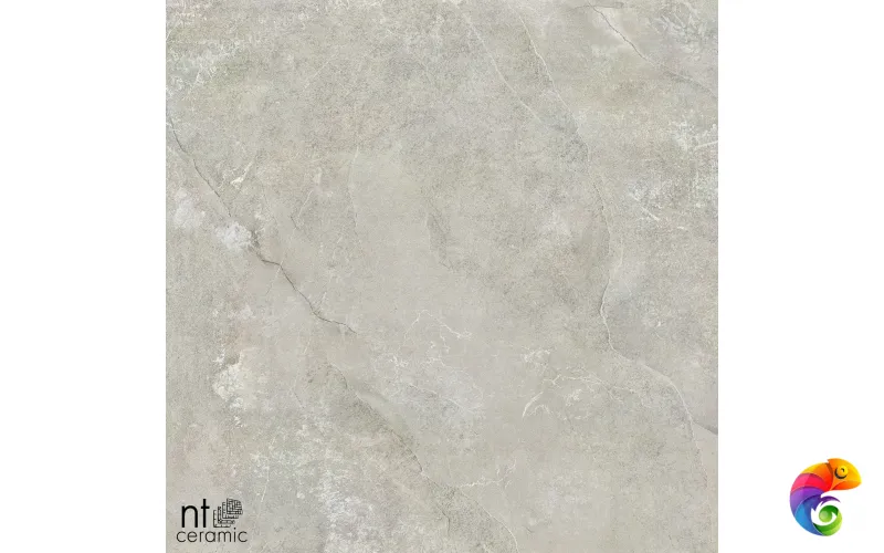 Керамогранит NS6NTT9022L NTT9022 60x60