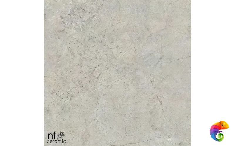 Керамогранит NS6NTT9022L NTT9022 60x60