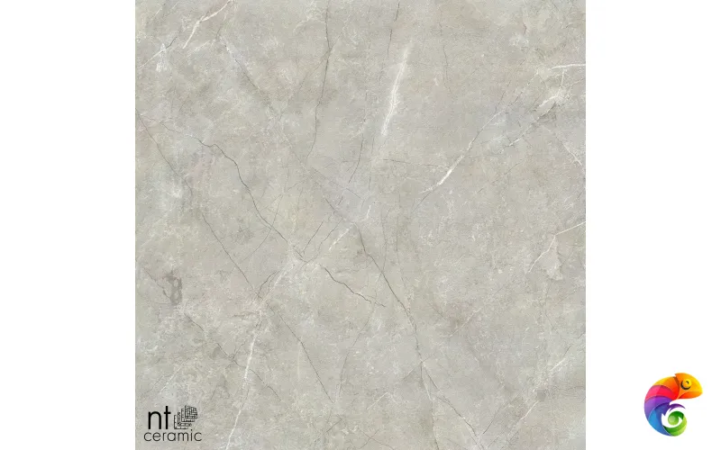 Керамогранит NS6NTT9022L NTT9022 60x60