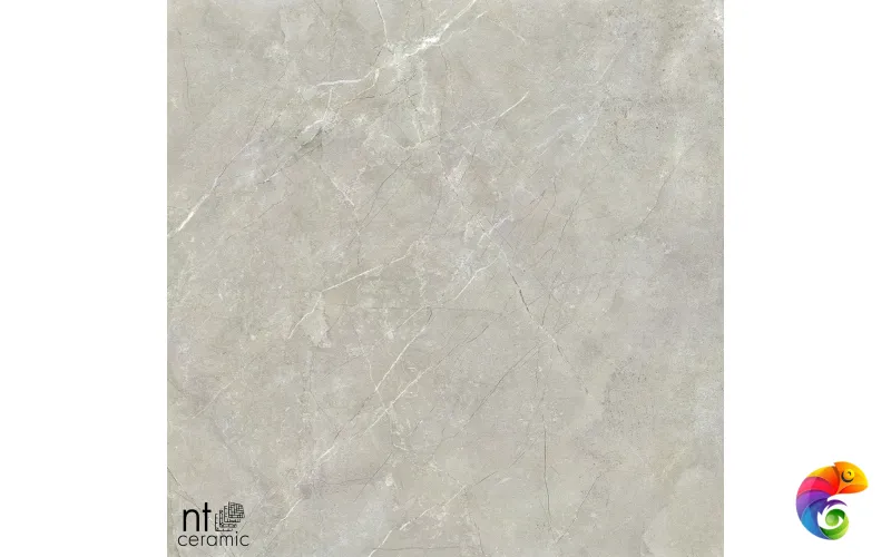 Керамогранит NS6NTT9022L NTT9022 60x60