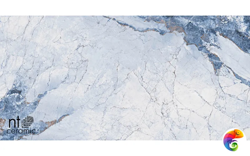 Керамогранит NTT9107P NTT9107P Callacata Ocean 60x120