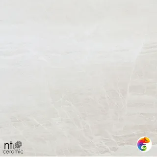 NTT9702 60x120 ZS612NTT9702P