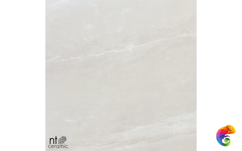 Керамогранит ZS612NTT9702P NTT9702 60x120