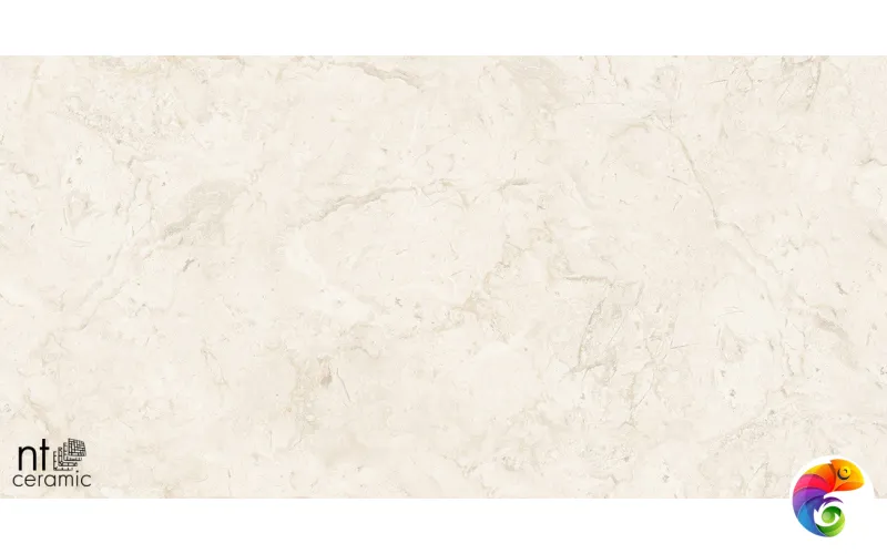 Керамогранит NTT99523C Stone Almond Endless 60x120