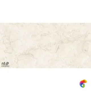 Stone Almond Endless 60x120 NTT99523C