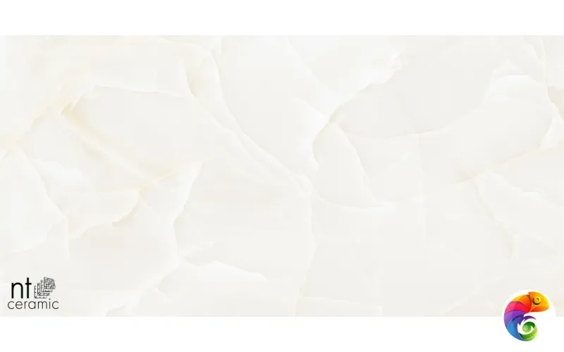 Керамогранит NTT99504P Onyx Predo 60x120