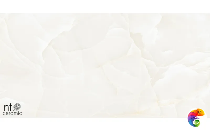 Керамогранит NTT99504P Onyx Predo 60x120