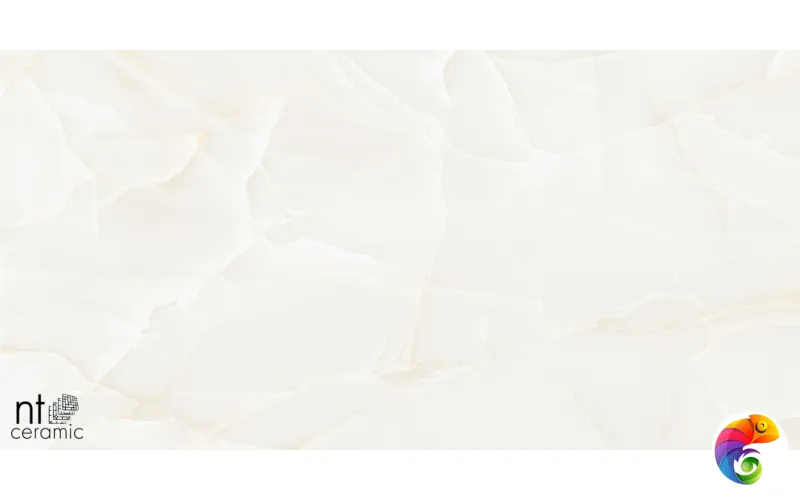 Керамогранит NTT99504P Onyx Predo 60x120