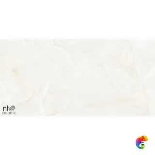Onyx Predo 60x120 NTT99504P