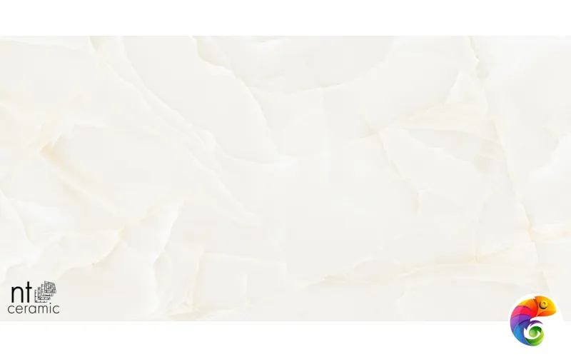 Керамогранит NTT99504P Onyx Predo 60x120