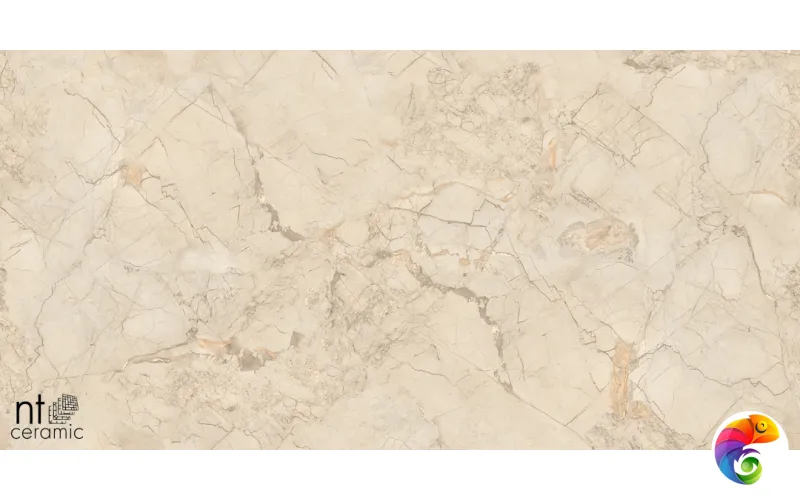 Керамогранит NTT99515M Ivory Endless 60x120