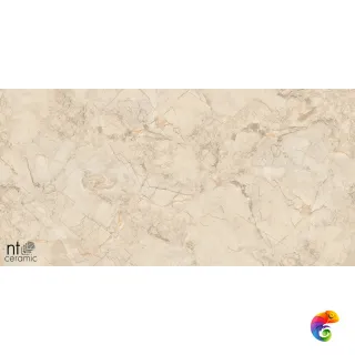 Ivory Endless 60x120 NTT99515M