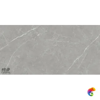 NTT1102 60x120 PT612NTT1102L