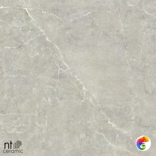 NTT9022 30x60 NS36NTT9022L