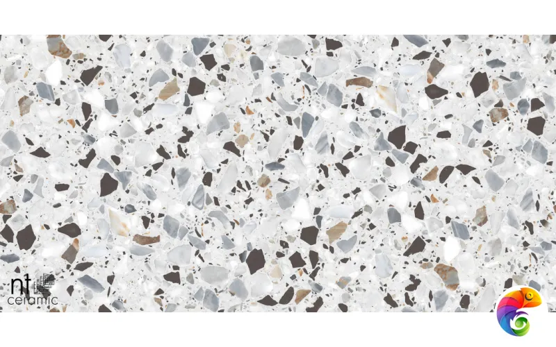 Керамогранит NTT99606 Terrazzo White 60x120