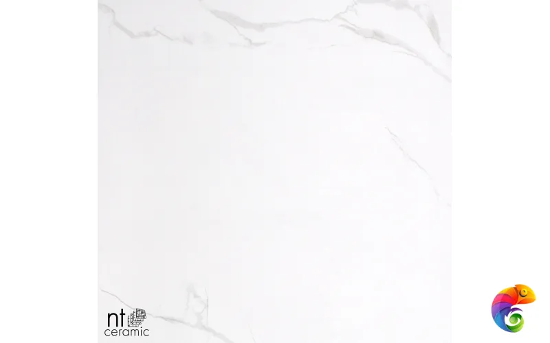 Керамогранит BK6NTT9402P NTT9402 60x60